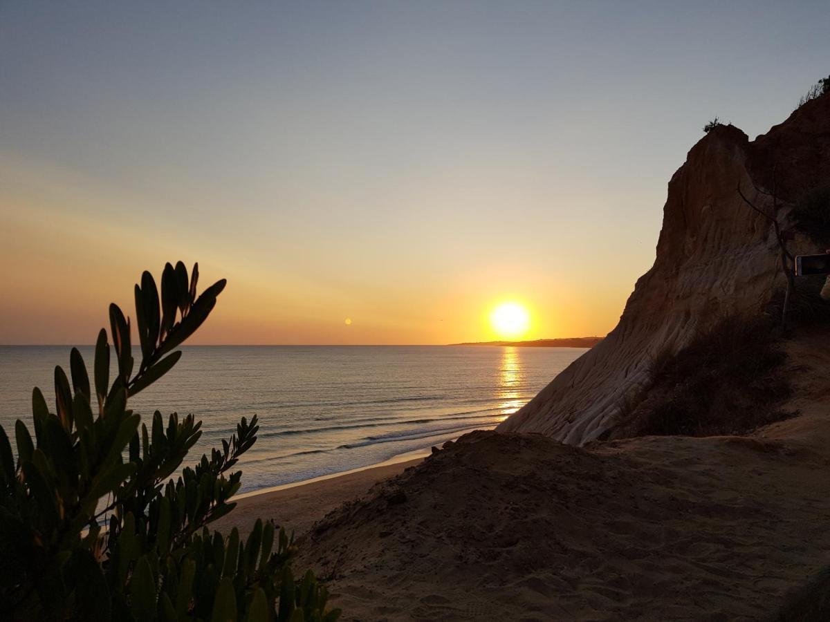 Excellent T2 Apartment With Pools 400M Falesia Beach Albufeira Dış mekan fotoğraf